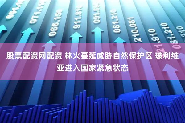 股票配资网配资 林火蔓延威胁自然保护区 玻利维亚进入国家紧急状态