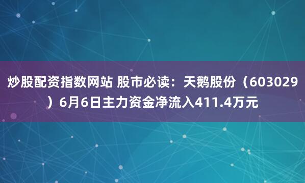 炒股配资指数网站 股市必读：天鹅股份（603029）6月6日主力资金净流入411.4万元
