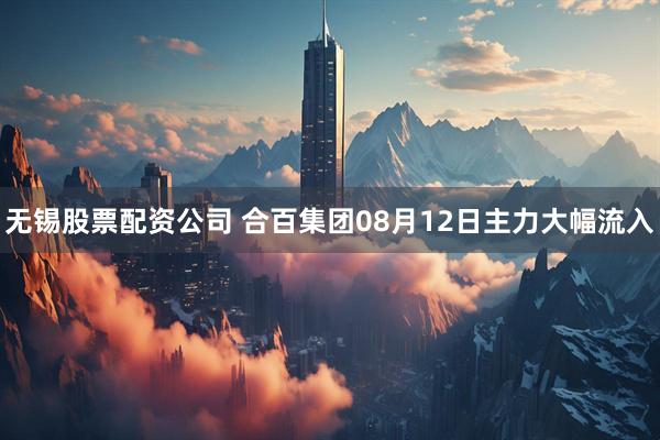无锡股票配资公司 合百集团08月12日主力大幅流入