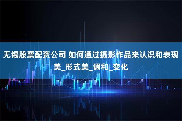 无锡股票配资公司 如何通过摄影作品来认识和表现美_形式美_调和_变化